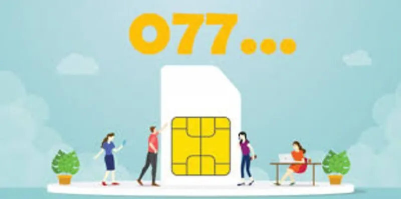 0777 là mạng gì? Ý nghĩa phong thủy cực kỳ đặc biệt